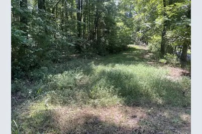 60 Oasis Drive, Blue Ridge, GA 30513 - Photo 78