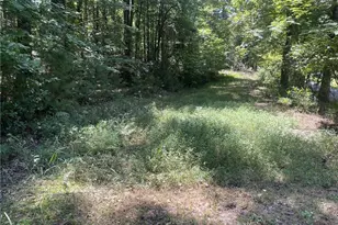 60 Oasis Dr, Blue Ridge, GA 30513 - Photo 78
