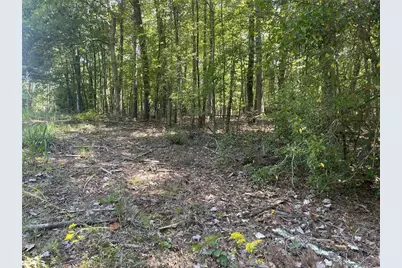 60 Oasis Drive, Blue Ridge, GA 30513 - Photo 76