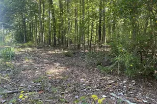 60 Oasis Dr, Blue Ridge, GA 30513 - Photo 76