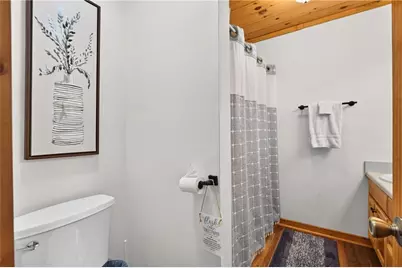 778 Walnut Mountain Road, Ellijay, GA 30536 - Photo 38