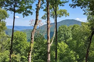 778 Walnut Mountain Rd, Ellijay, GA 30536 - Photo 2