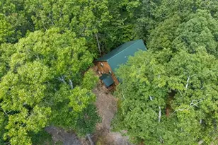 63 Collinsbrook Trail, Cleveland, GA 30528 - Photo 44