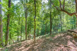 3629 Lakeview Dr, Gainesville, GA 30501 - Photo 46