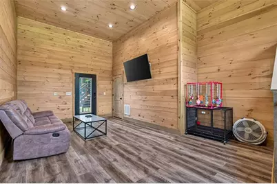 113 Downy Road, Blue Ridge, GA 30513 - Photo 44