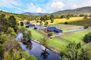 113 Downy Rd, Blue Ridge, GA 30513 - Photo 54