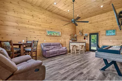 113 Downy Road, Blue Ridge, GA 30513 - Photo 42