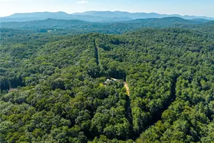 31 Highland Hammock Dr Dr, Blue Ridge, GA 30513 - Photo 52