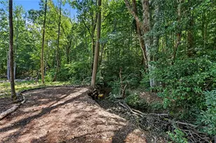 163 Meadow Spring Ct, Temple, GA 30179 - Photo 46