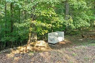 260 Observation Ln, Blue Ridge, GA 30513 - Photo 58