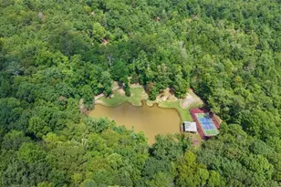260 Observation Ln, Blue Ridge, GA 30513 - Photo 48
