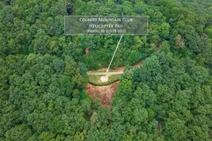 260 Observation Ln, Blue Ridge, GA 30513 - Photo 62