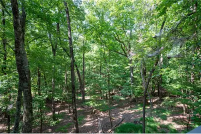 174 Trout Lily Trail, Jasper, GA 30143 - Photo 42