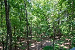 174 Trout Lily Trail, Jasper, GA 30143 - Photo 42