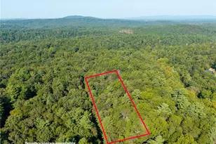 153 Blackberry Falls Dr, Ellijay, GA 30536 - Photo 24