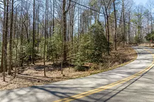 0 Shenendoa Dr, Ellijay, GA 30540 - Photo 1