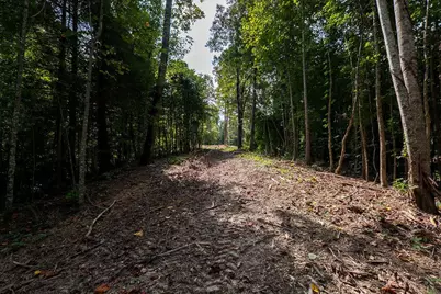 3280 Old Burnt Mountain Road Road, Jasper, GA 30143 - Photo 14