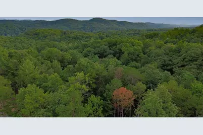 Lot 6 Allaire Lane, Mineral Bluff, GA 30559 - Photo 2