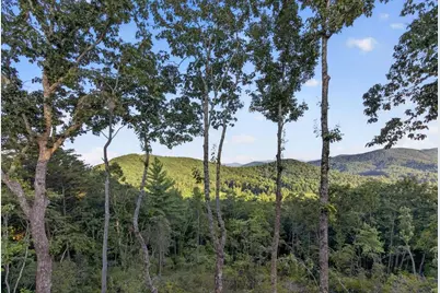 193 7 Figure Ridge, Blue Ridge, GA 30513 - Photo 8