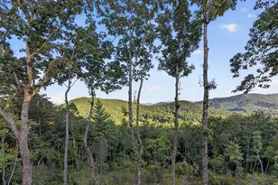 193 7 Figure Ridge, Blue Ridge, GA 30513 - Photo 8