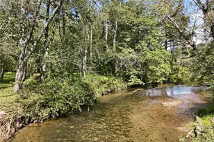 7925 State Hwy 60, Suches, GA 30572 - Photo 8