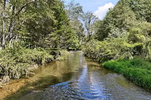 7925 State Hwy 60, Suches, GA 30572 - Photo 10