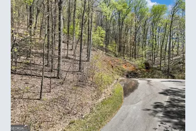0 Stone Cliff Trace, Cleveland, GA 30528 - Photo 2