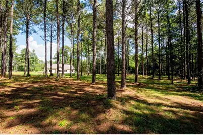 [Address not provided], Grantville, GA 30220 - Photo 44