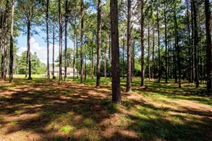 [Address not provided], Grantville, GA 30220 - Photo 44