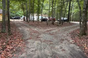 10992 Twelve Oaks Ct, Hampton, GA 30228 - Photo 26