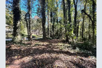 1060 De Leon Drive, Clarkston, GA 30021 - Photo 1