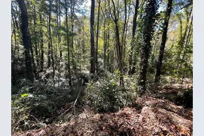 1060 De Leon Drive, Clarkston, GA 30021 - Photo 4