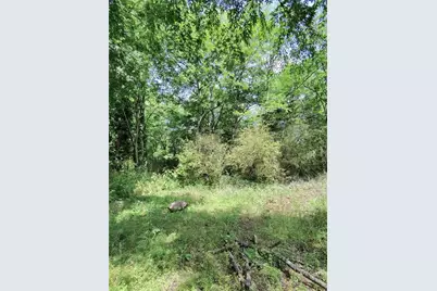 479 Sandtown Road SE, Cartersville, GA 30121 - Photo 12