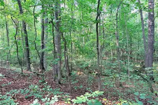 6394 Shore Dr, Douglasville, GA 30135 - Photo 20