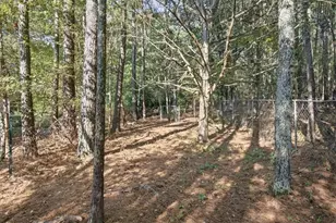 964 Sugar Valley Rd SW, Cartersville, GA 30120 - Photo 46