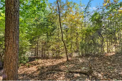288 Blazingstar Trail, Big Canoe, GA 30143 - Photo 4