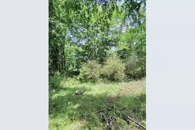 479 Sandtown, Cartersville, GA 30121 - Photo 20