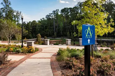 214 Pinecone Place, Alpharetta, GA 30022 - Photo 46
