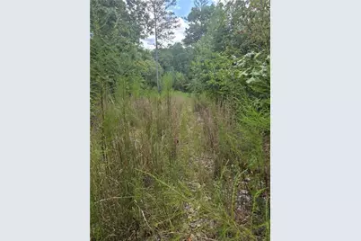 890 Forrester Cemetery Road, Covington, GA 30014 - Photo 2