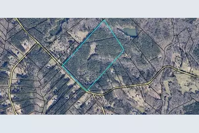 1458 Pitts Chapel Road, Newborn, GA 30056 - Photo 4