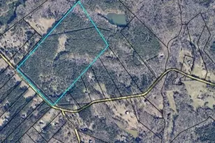 1458 Pitts Chapel Rd, Newborn, GA 30056 - Photo 1