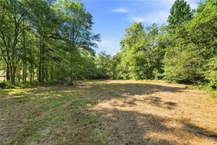 378 Ficklen Pl, Canton, GA 30114 - Photo 68