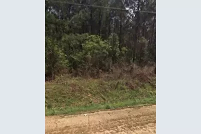 000 Willie Varnum Road, Dothan, AL 36301 - Photo 2