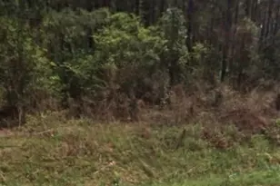 000 Willie Varnum Rd, Dothan, AL 36301 - Photo 2