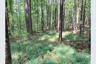 0 Rockmart Road, Villa Rica, GA 30180 - Photo 14