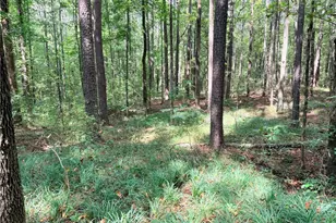 0 Rockmart Rd, Villa Rica, GA 30180 - Photo 14