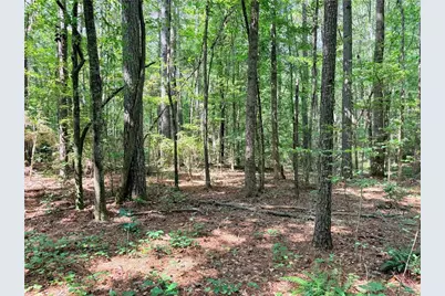 0 Rockmart Road, Villa Rica, GA 30180 - Photo 8