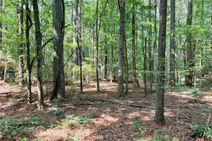 0 Rockmart Rd, Villa Rica, GA 30180 - Photo 8