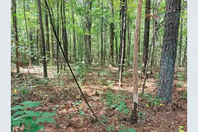 0 Rockmart Road, Villa Rica, GA 30180 - Photo 6