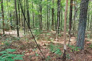 0 Rockmart Rd, Villa Rica, GA 30180 - Photo 6